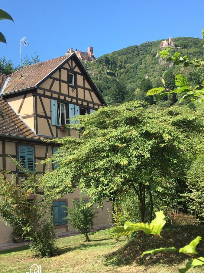 Le Gite Du Moulin Ribeauvillé Exteriör bild