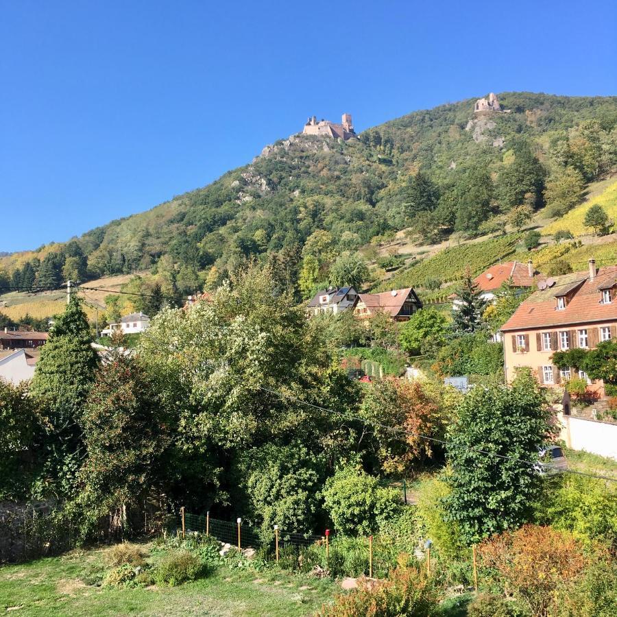 Le Gite Du Moulin Ribeauvillé Exteriör bild